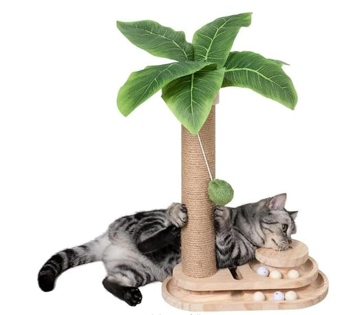 Cat Supplies