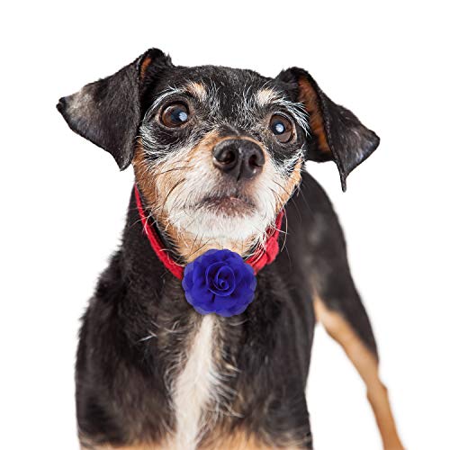 WILLBOND 8 Pcs Dog Collar Flower Bow Tie for Pet Grooming