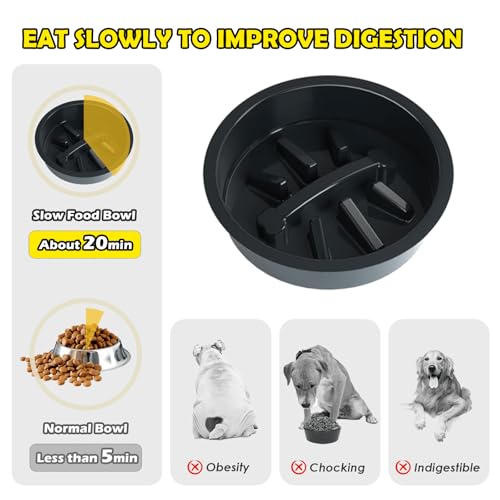 Elevated Dog Bowls