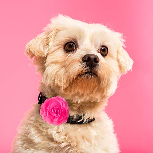 WILLBOND 8 Pcs Dog Collar Flower Bow Tie for Pet Grooming