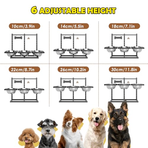 Elevated Dog Bowls