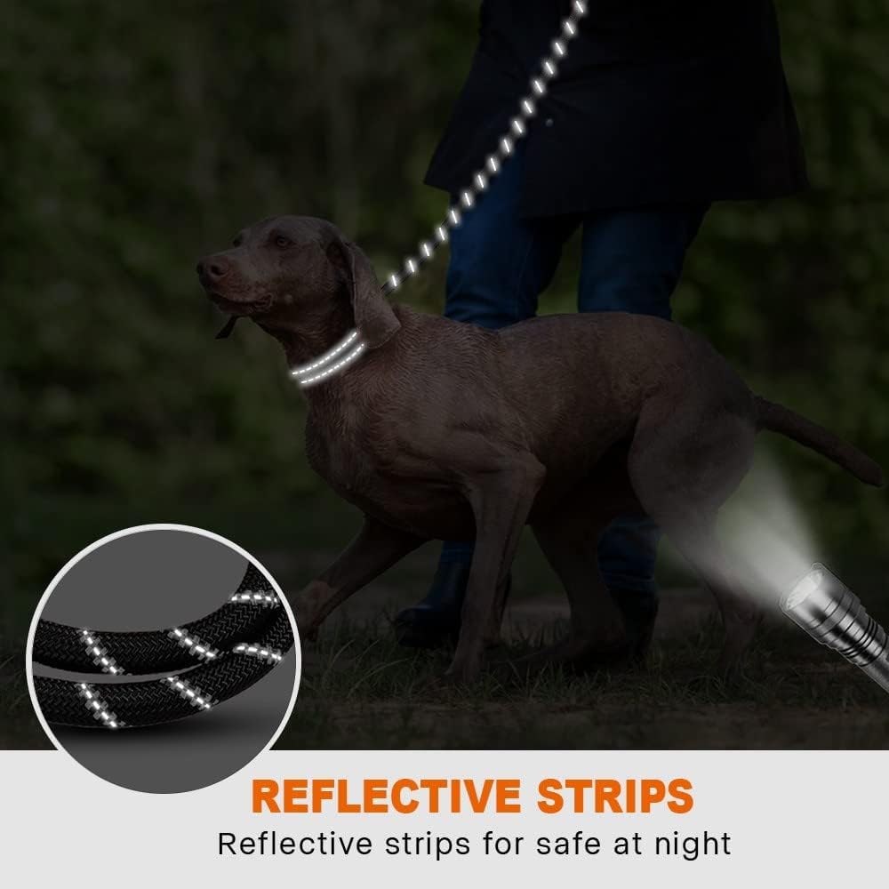 Taglory Rope Dog Leash 4/5/6 FT with Comfortable Padded Handle, Highly Reflective Threads Dog Leash for Small, Medium and Large Dogs