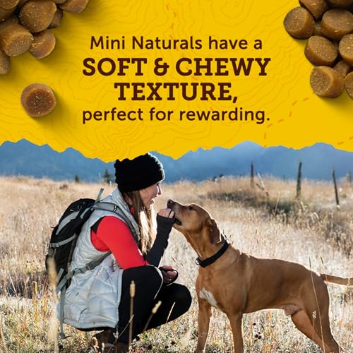 Zuke’s Mini Naturals Dog Training Treats for Dogs, Pet Treats Made with Real Peanut Butter- 16 oz. Bag