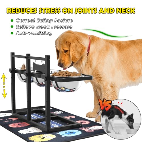 Elevated Dog Bowls