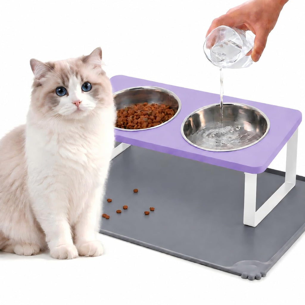 Summark Upgraded Elevated Raised Cat Bowls with Food Mat