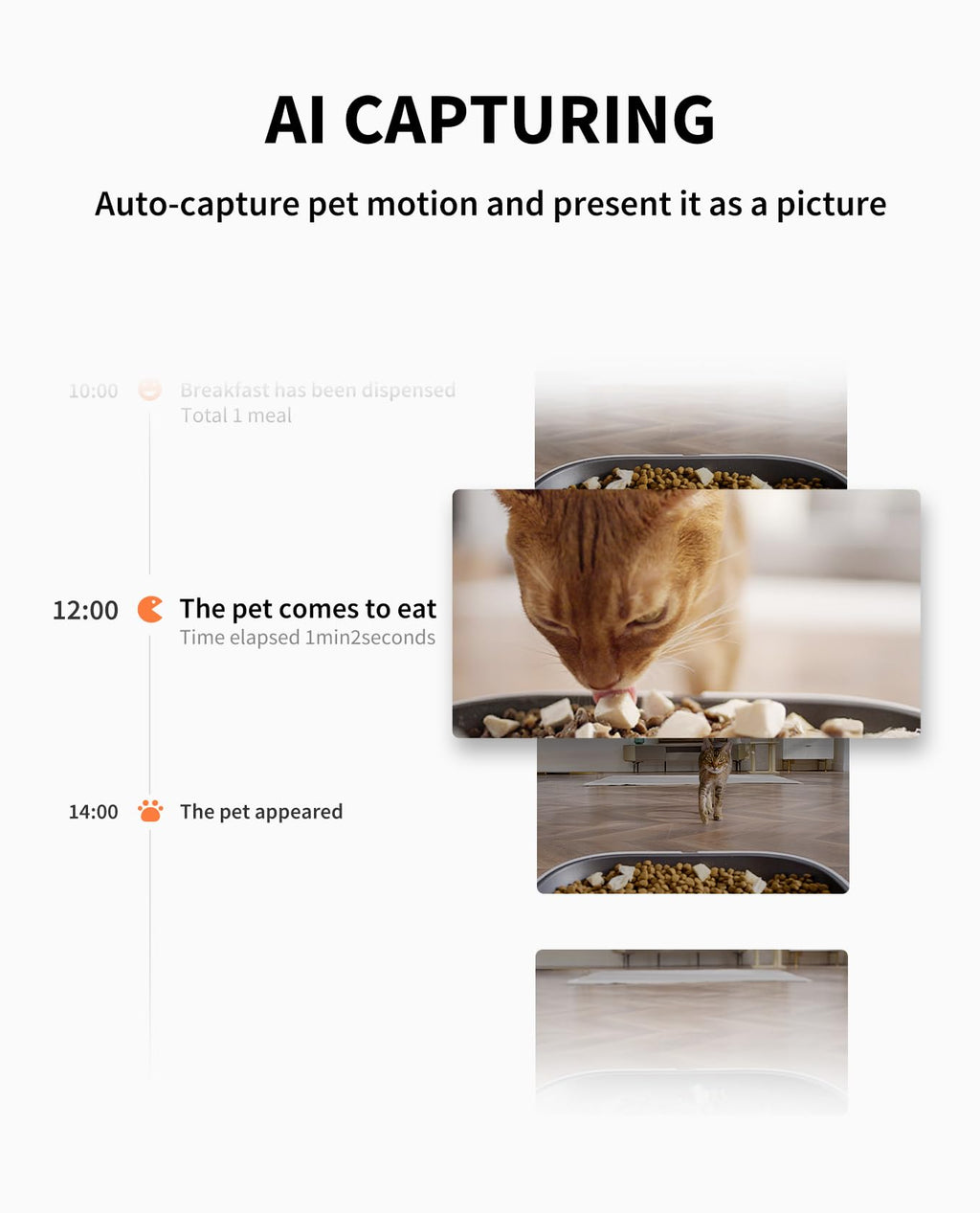 PETKIT Automatic Cat Feeder with Camera, 1080P HD Video with Night Vision, 2.4G WiFi Pet Feeder for Cat & Small Dog, 2-Way Audio & Meal Call Pet Food Dispenser with Desiccant Bag, Motion Capturing