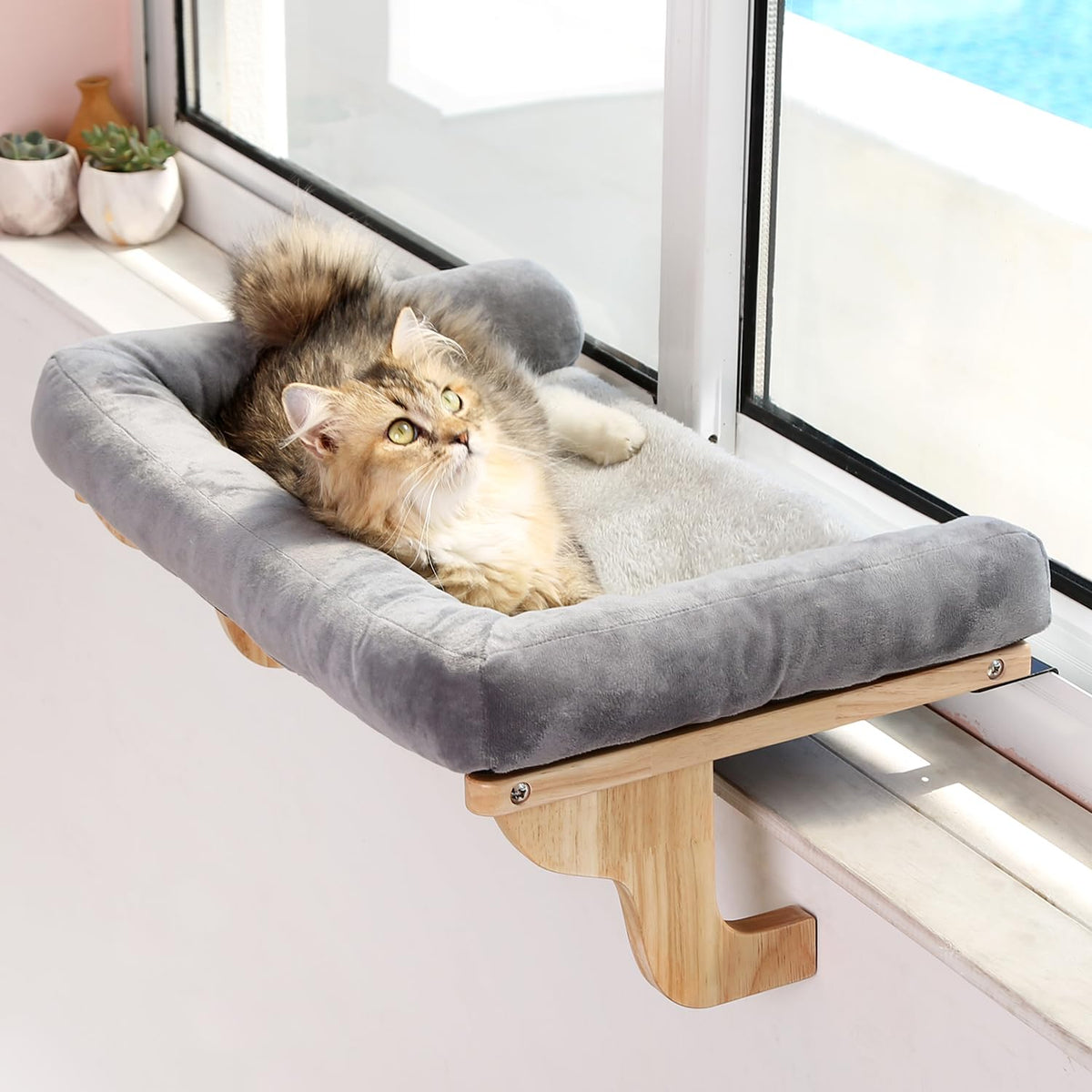 Zakkart Cat Perch for Windowsill with Bolsters