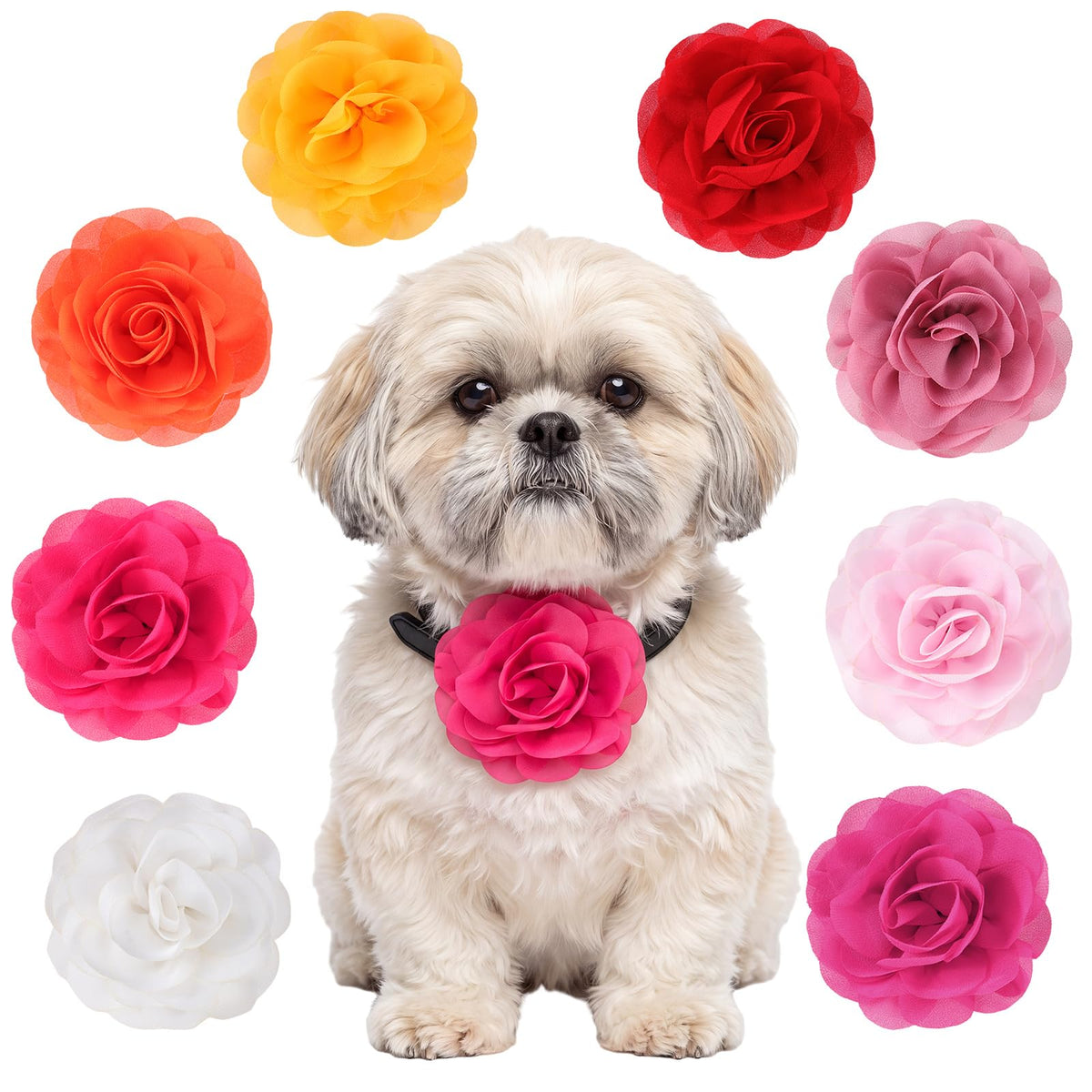 WILLBOND 8 Pcs Dog Collar Flower Bow Tie for Pet Grooming