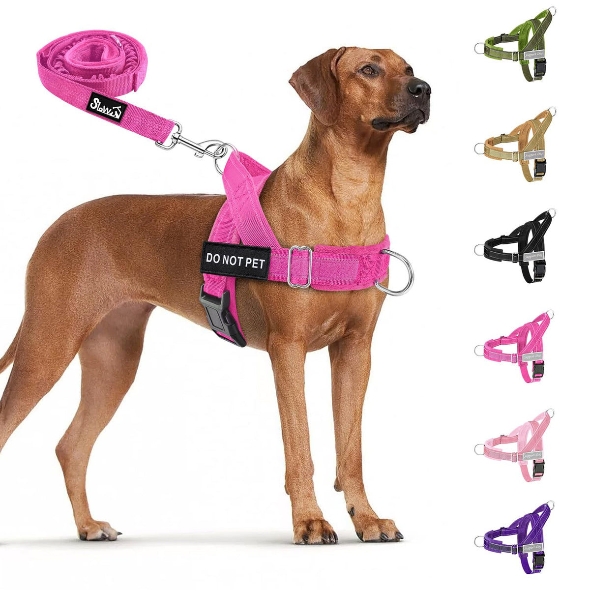 SlowTon No Pull Dog Harness and Leash Set - Heavy Duty, Soft Padded