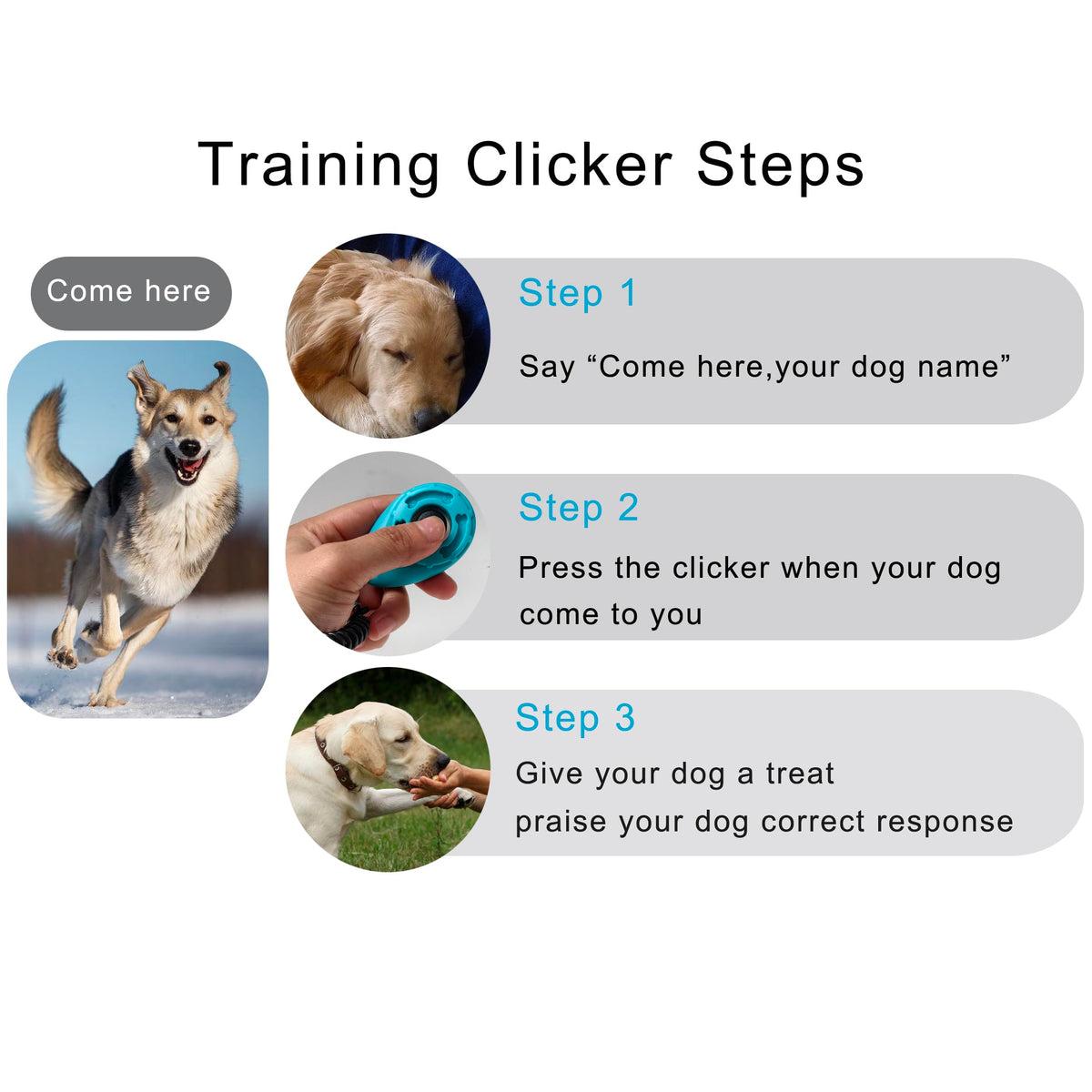 HoAoOo Dog Training Clicker with Sring Wrist and Keyring - Pet Dog Training Clickers for Puppy, Cat, Potty, Bird, Horse, Pet, Trainer Training Tools, Behavior Aids