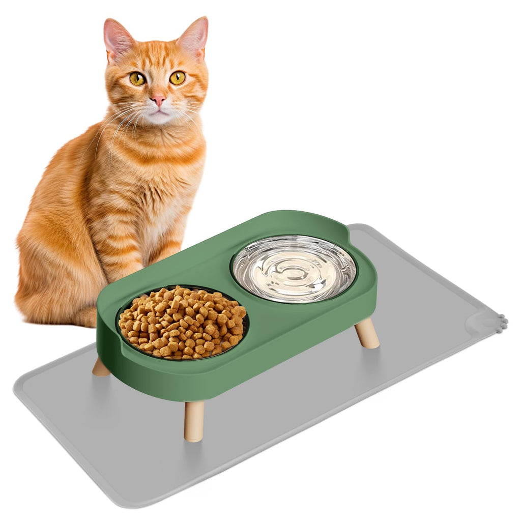 Elevated Cat Bowl, Raised Cat Food and Water Bowl Set for Indoor Cats