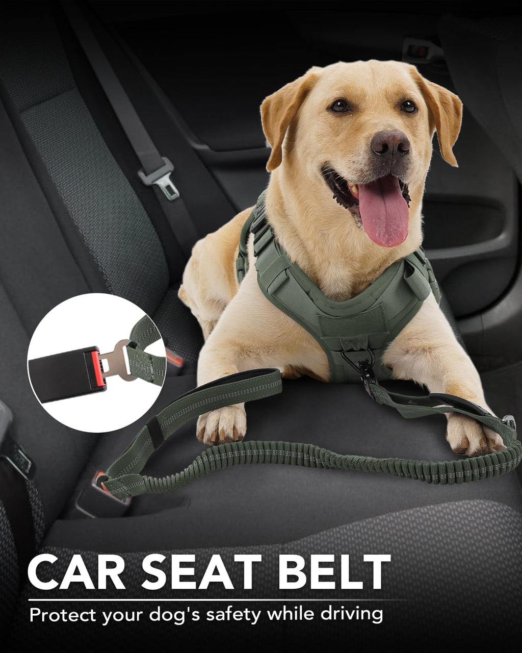 Joytale Tactical Bungee Dog Leash, Shock Absorbing No Pull