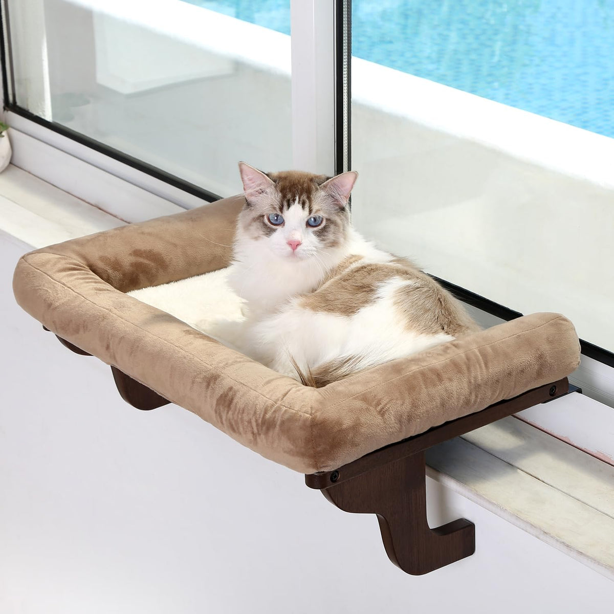 Zakkart Cat Perch for Windowsill with Bolsters