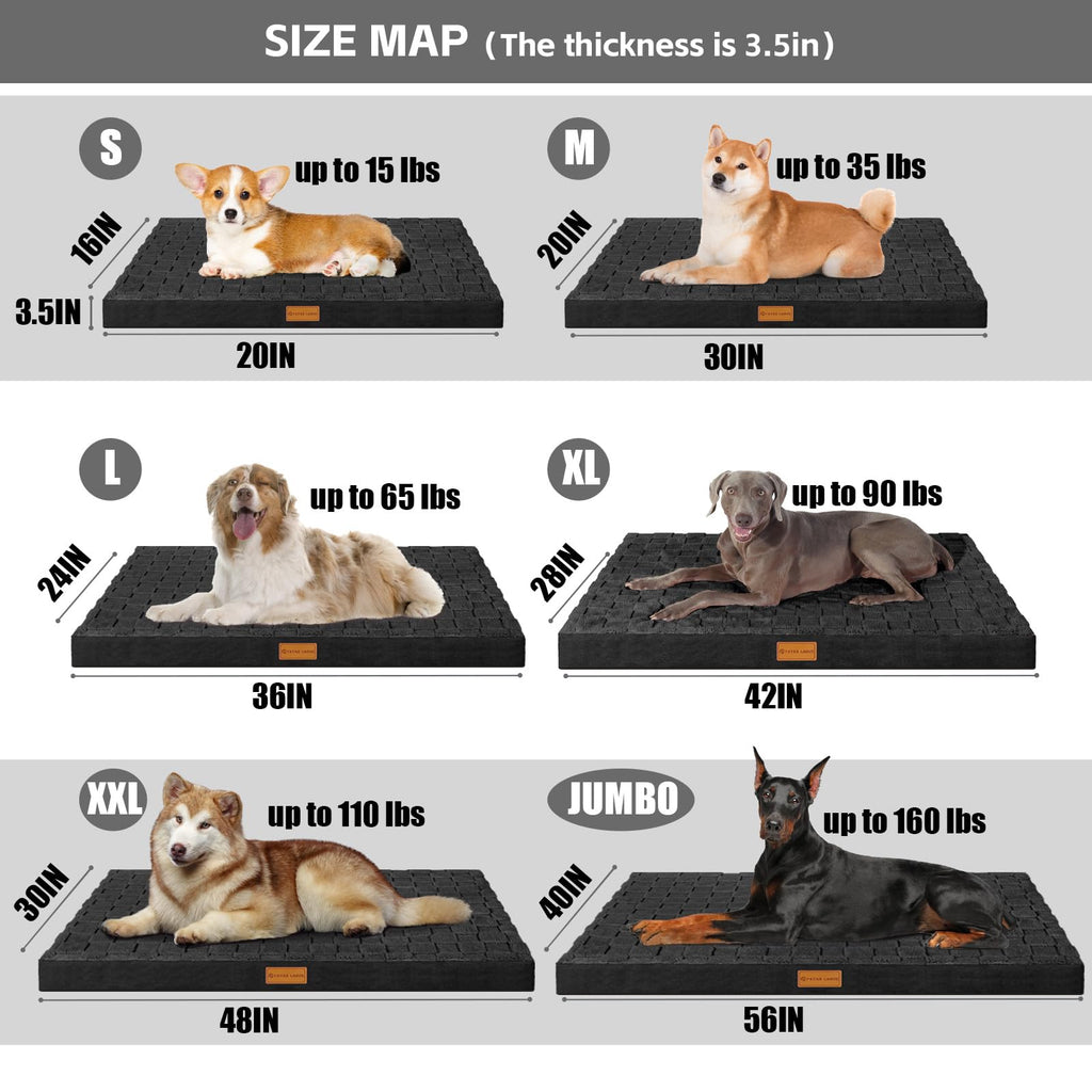 Patas Lague Durable Orthopedic Dog Bed Large Sized Dog