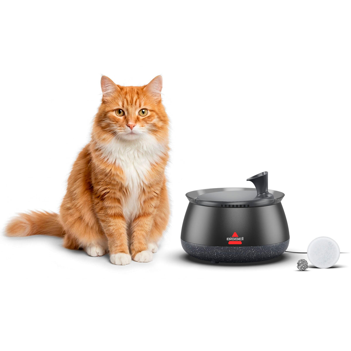 BISSELL HydrateWell Cat Water Fountain