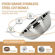 Elevated Cat Food & Water Bowl Set for Indoor Cats