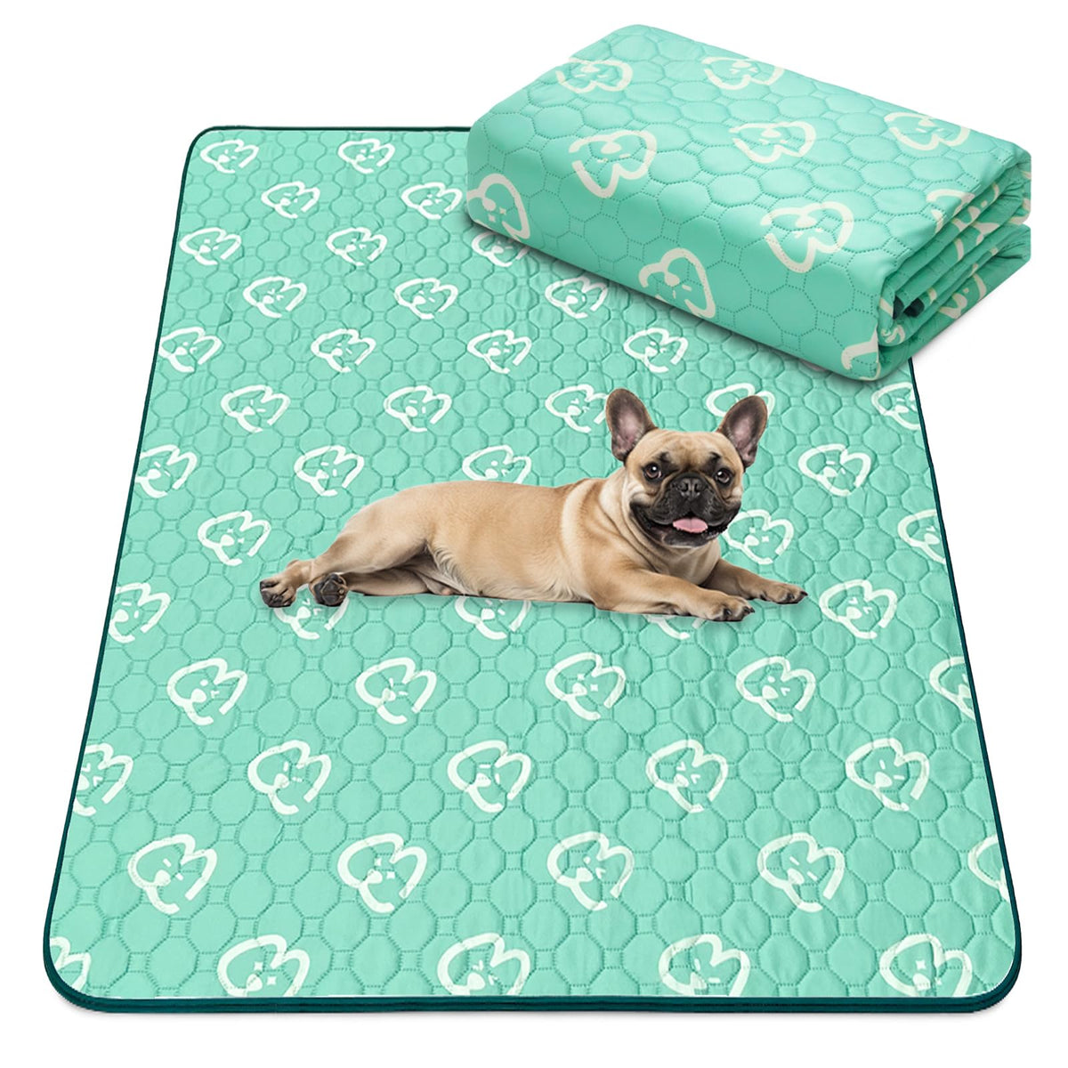 FXW Washable Pee Pads for Dogs, Super Absorbent