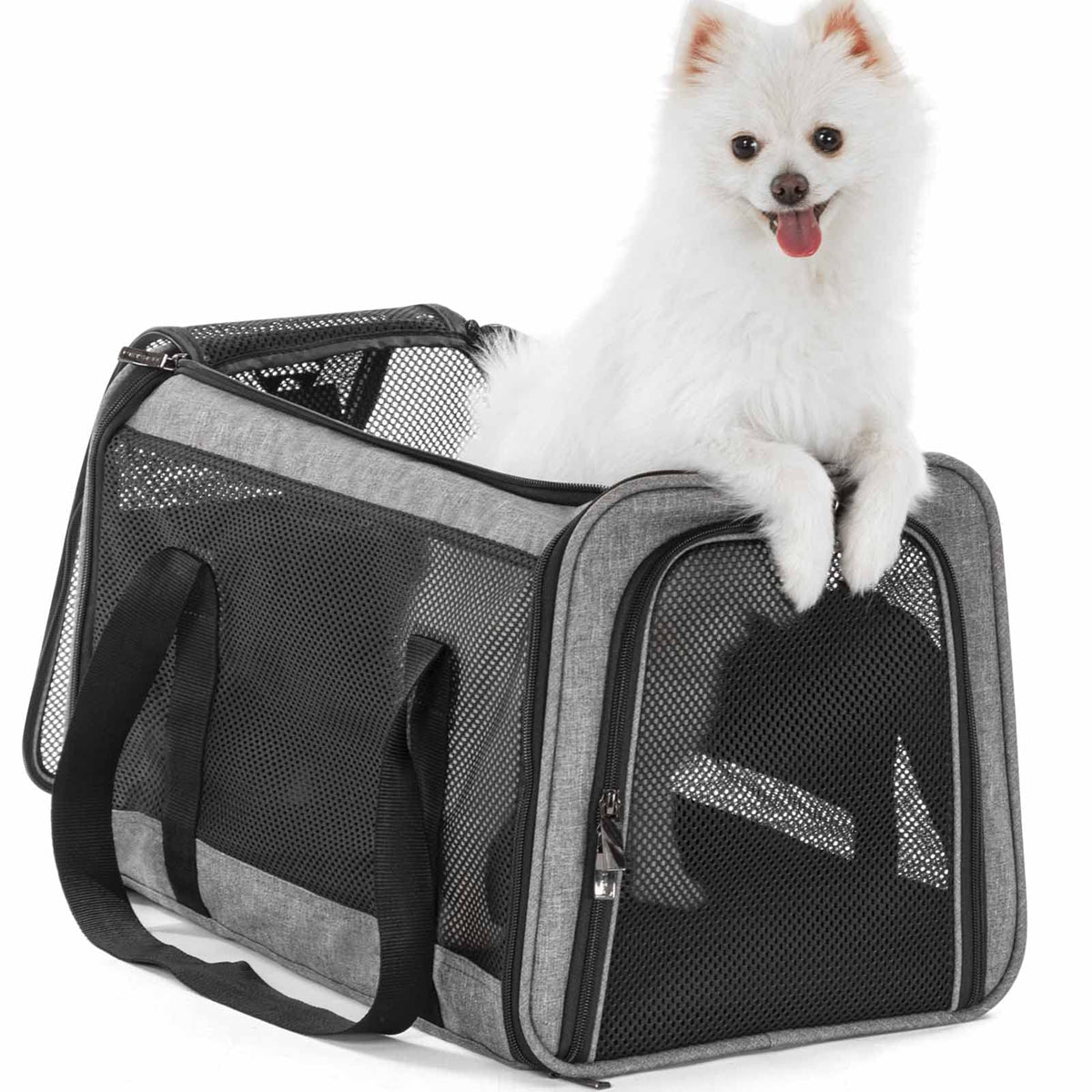 Petsfit 18 X 11 X 11 Airline Approved & Cat Car Carrier, with Patent Safety Buckles & Lockable Zippers Preventing Escapes, Breathable Mesh & Padded Mat — Portable, Stress-Free Travel Carrier