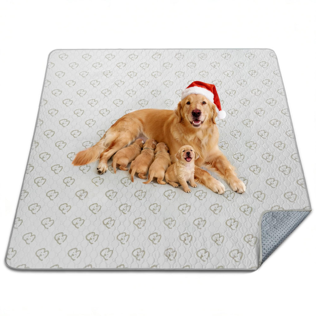 FXW Washable Pee Pads for Dogs, Super Absorbent