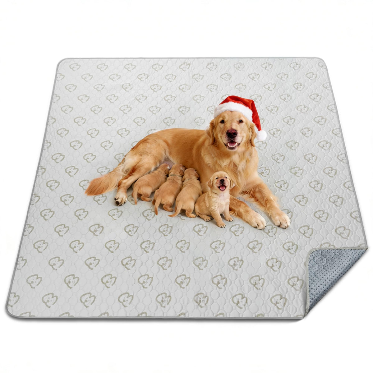 FXW Washable Pee Pads for Dogs, Super Absorbent