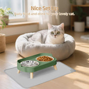 Elevated Cat Food & Water Bowl Set for Indoor Cats