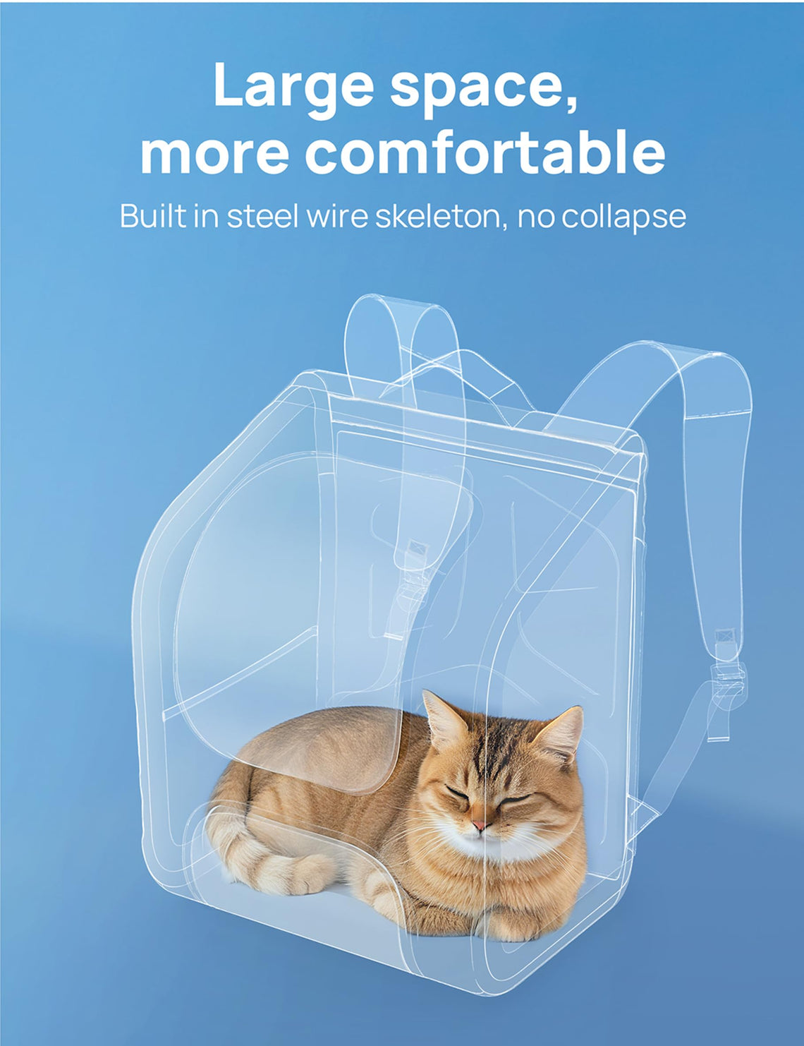 Pecute Bubble Cat Backpack Carrier for Travel