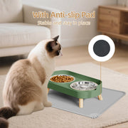 Elevated Cat Food & Water Bowl Set for Indoor Cats