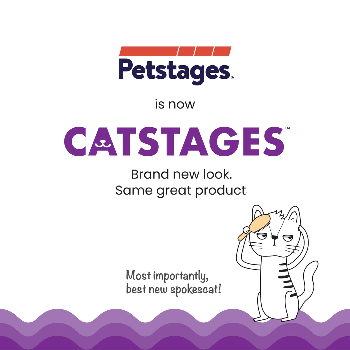 Catstages Cat Track Toy, Rolling Ball Toy for Indoor Cats