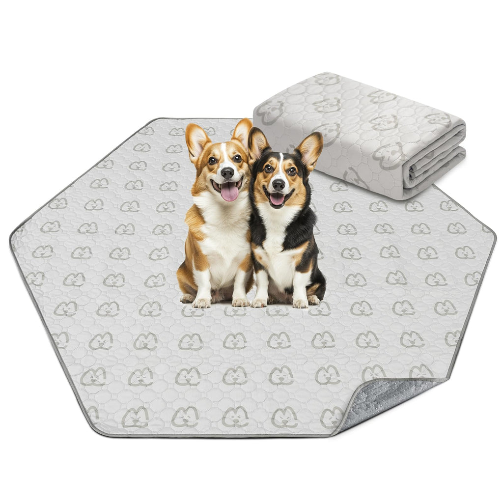 FXW Washable Pee Pads for Dogs, Super Absorbent