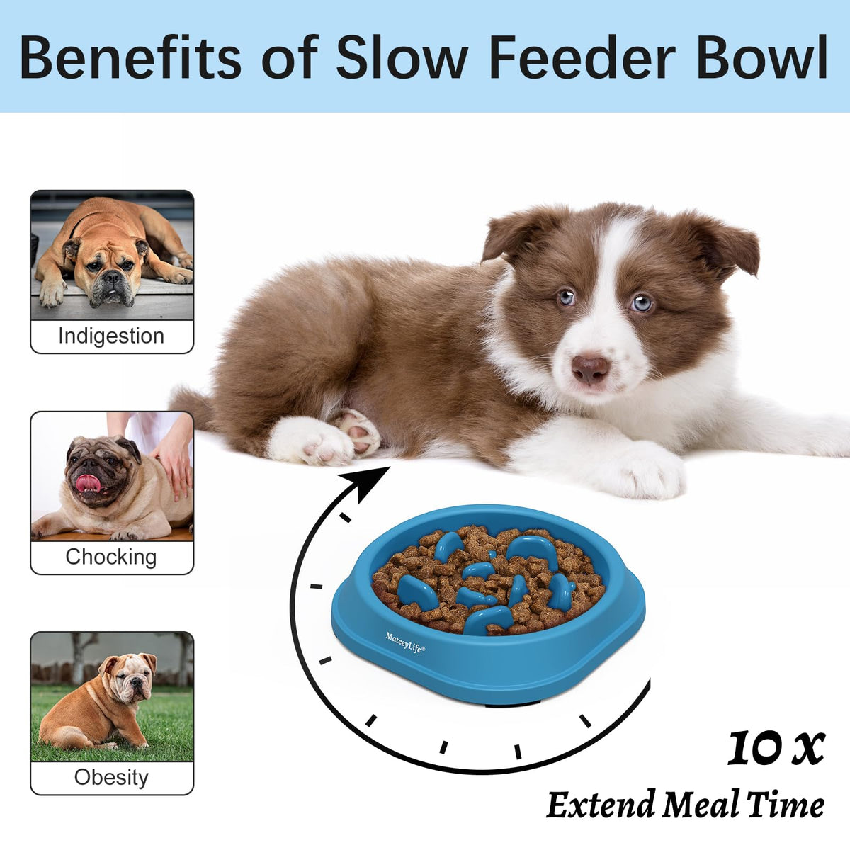 MateeyLife Slow Feeder Dog Bowls 2PCS, Anti-Choking Puzzle Dog Food Bowls, Anti-Slip Interactive Feeding Slow Down Eating, Bloat Stop Maze Dishes for All Breeds Pets