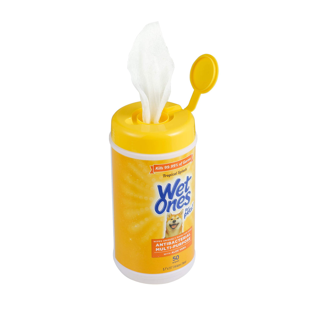 Wet Ones for Pets Antibacterial Dog Wipes, Tropical Splash, 50 Count, 12-Pk