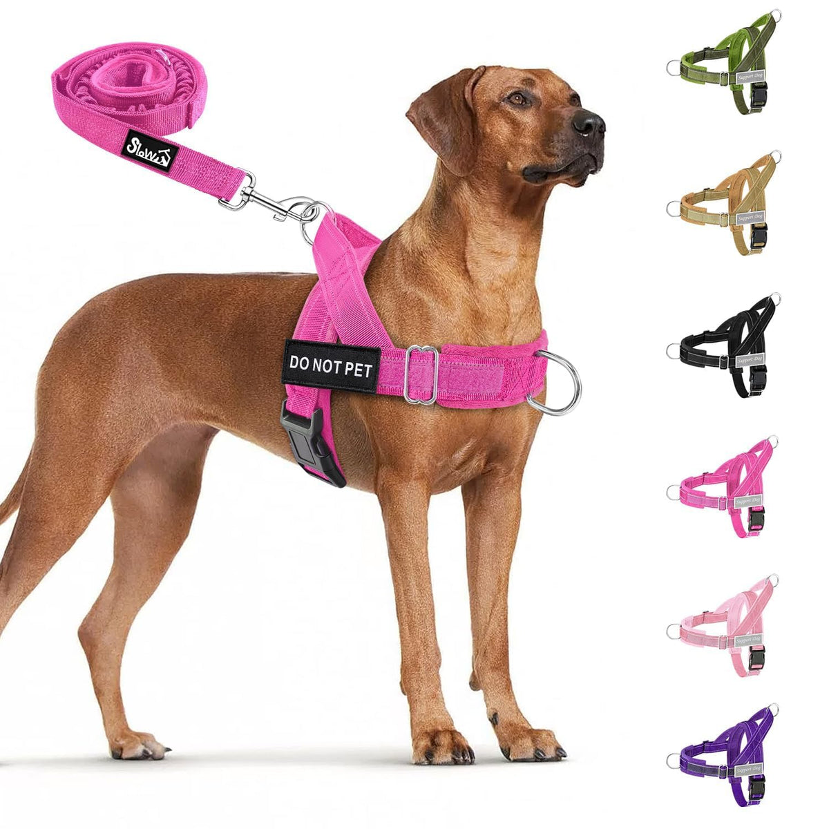 SlowTon No Pull Dog Harness and Leash Set - Heavy Duty, Soft Padded
