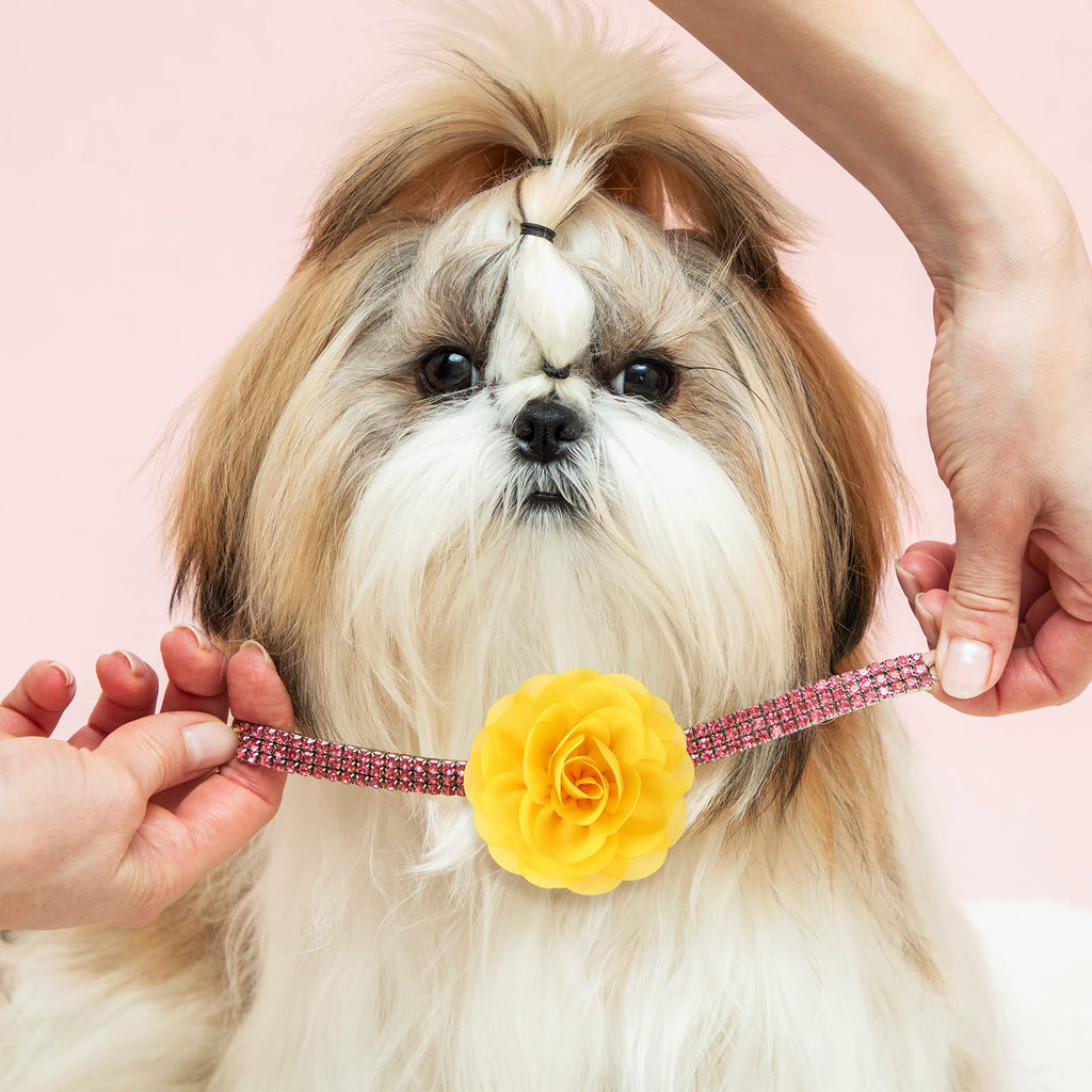 WILLBOND 8 Pcs Dog Collar Flower Bow Tie for Pet Grooming