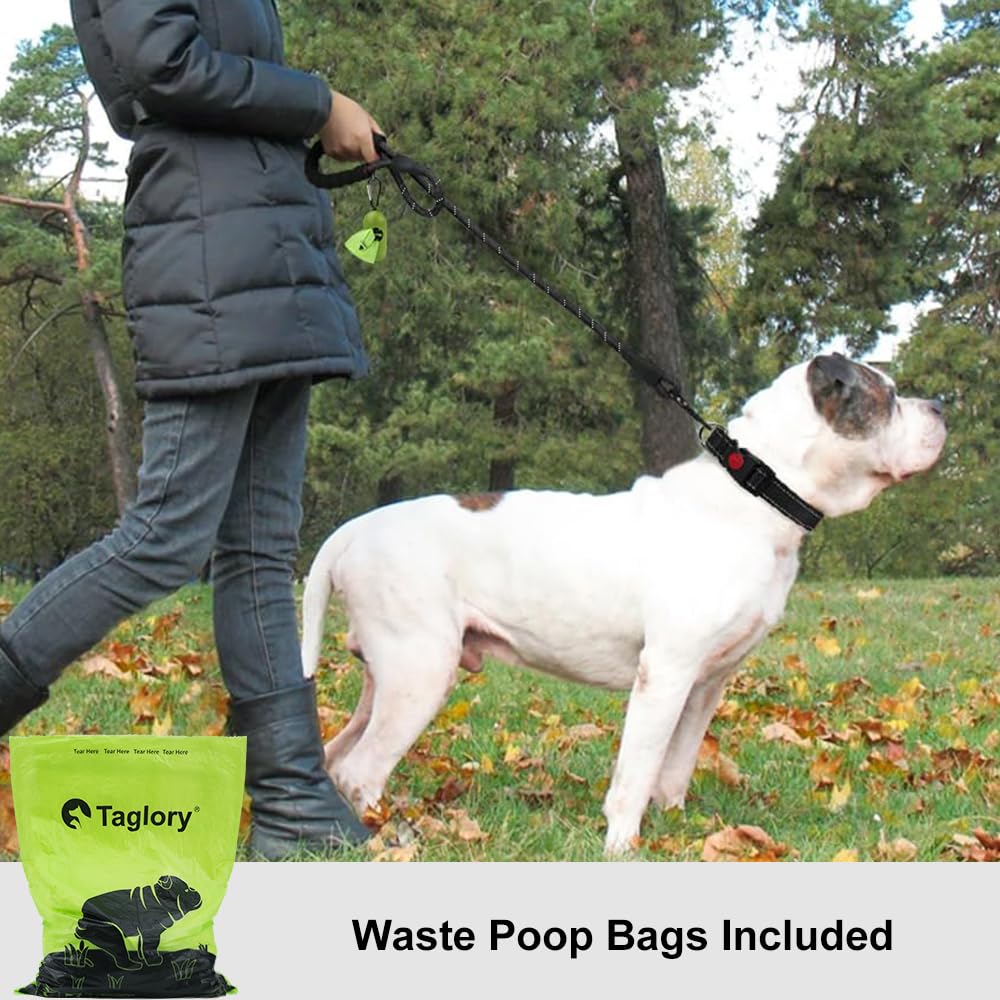 Taglory Rope Dog Leash 4/5/6 FT with Comfortable Padded Handle, Highly Reflective Threads Dog Leash for Small, Medium and Large Dogs