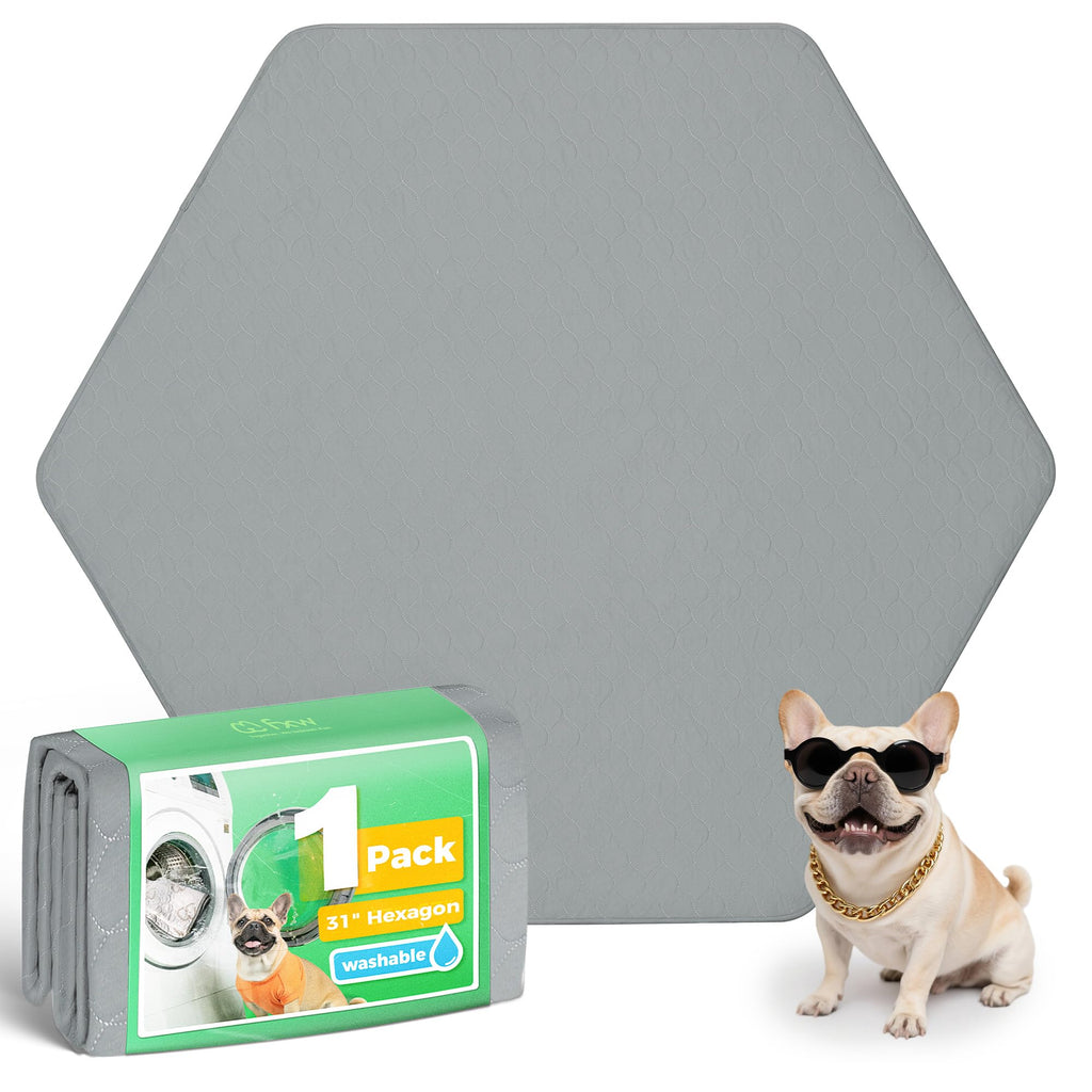 FXW Washable Pee Pads for Dogs, Super Absorbent