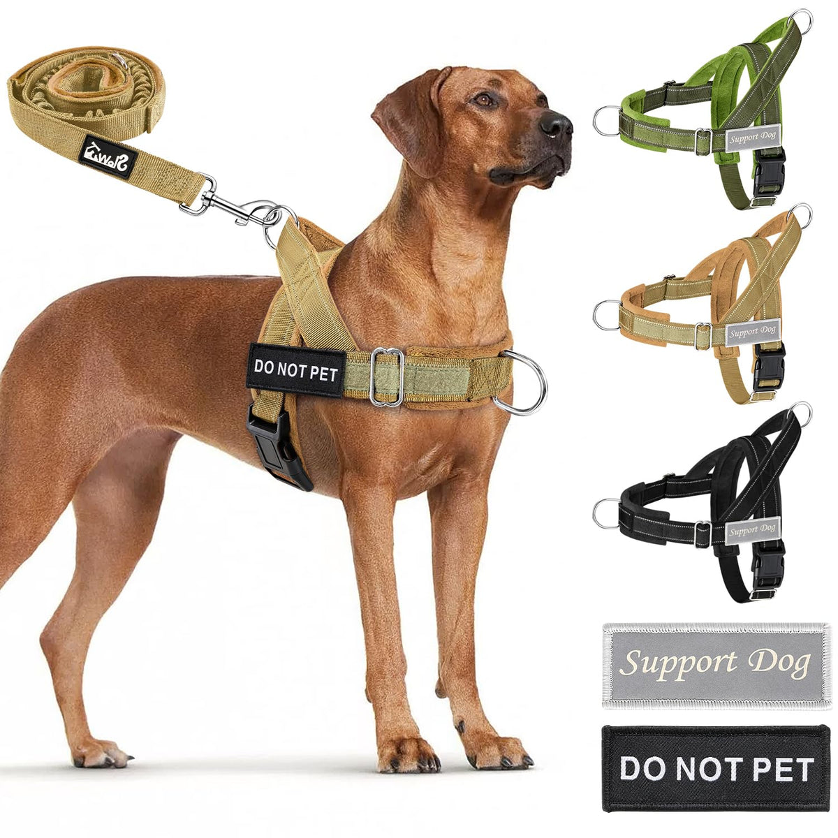 SlowTon No Pull Dog Harness and Leash Set - Heavy Duty, Soft Padded