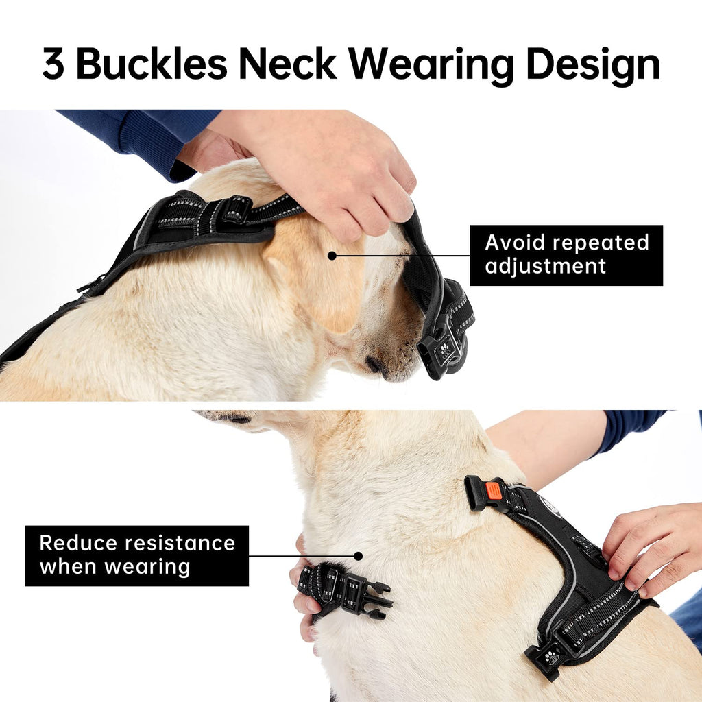 IVY&LANE Dog Harness with Leash Set for Small to Large Dogs