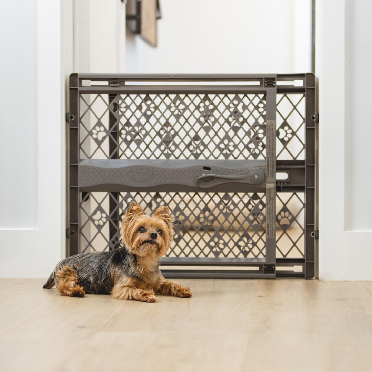 MYPET Paws Portable Pet Gate: 26-40" Wide Expandable, Pressure Mounted No Tools Needed, Durable Dog Gate for Doorways, Made in USA, 23" Tall