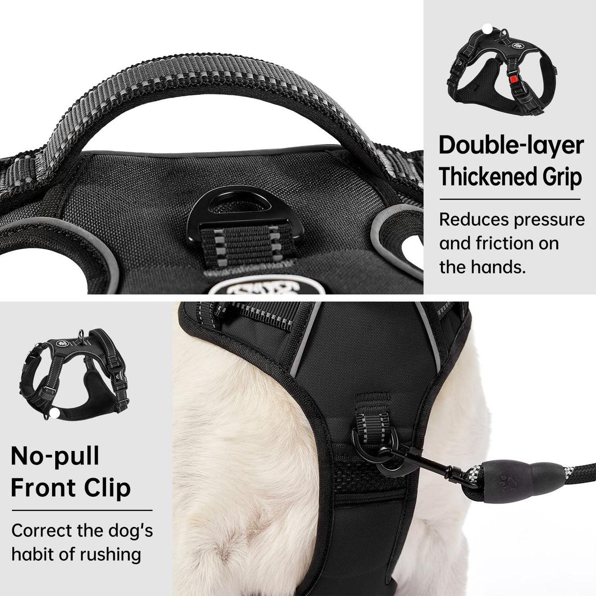 IVY&LANE Dog Harness with Leash Set for Small to Large Dogs