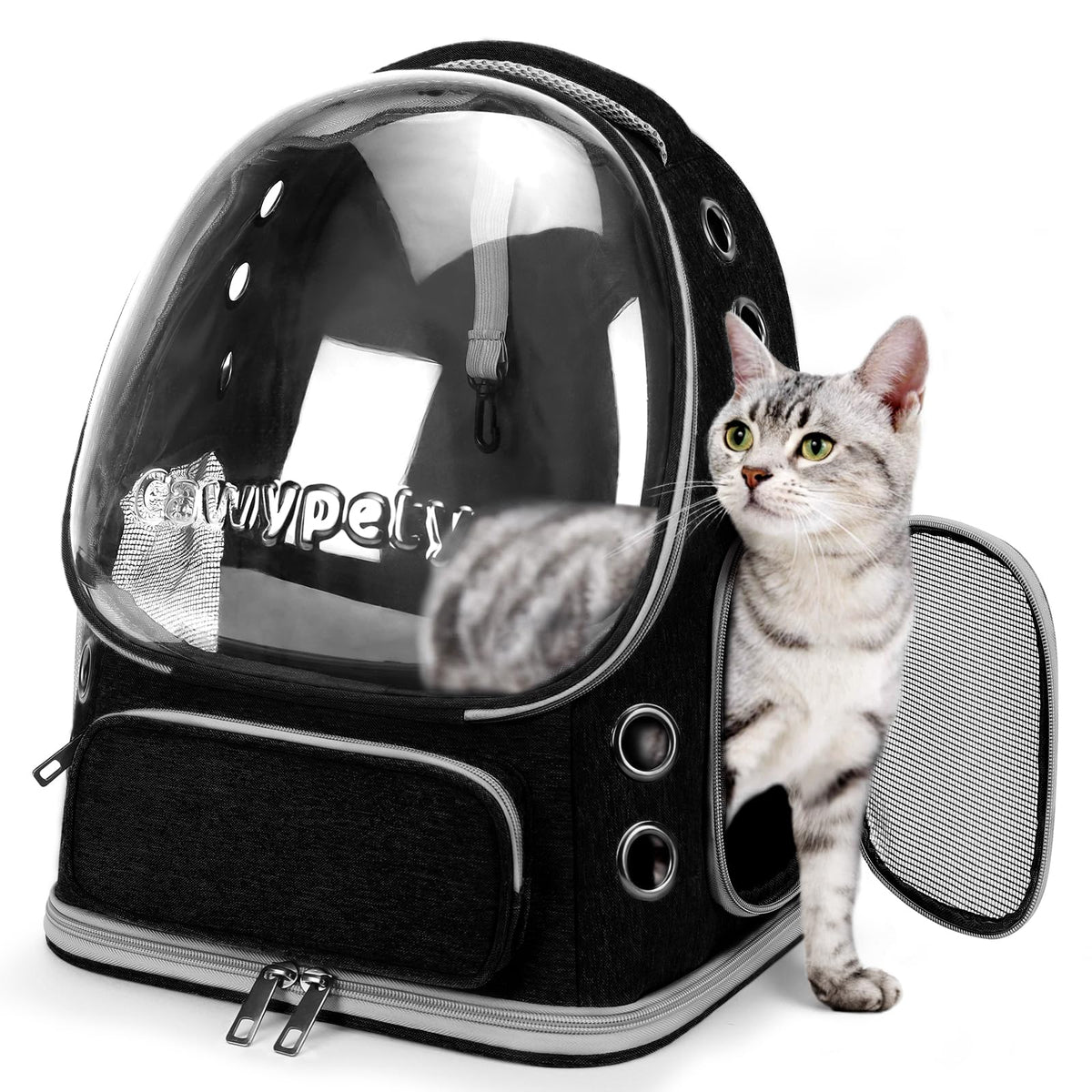 Cawypety Foldable Bubble Pet Backpack for Cats & Small Dogs