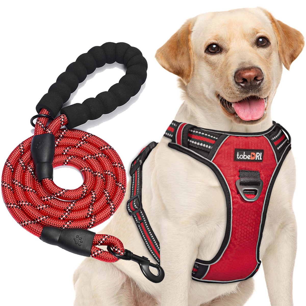 tobeDRI No Pull Dog Harness Adjustable Reflective Oxford Easy Control Medium Large Dog Harness with A Free Heavy Duty 5ft Dog Leash