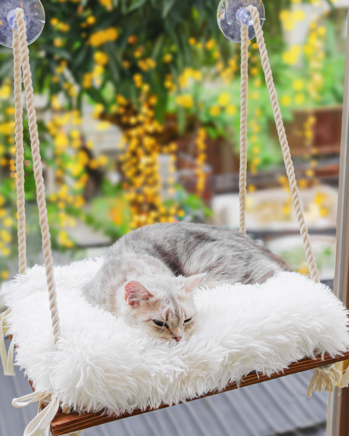 Cat Window Perch Bed Hammock