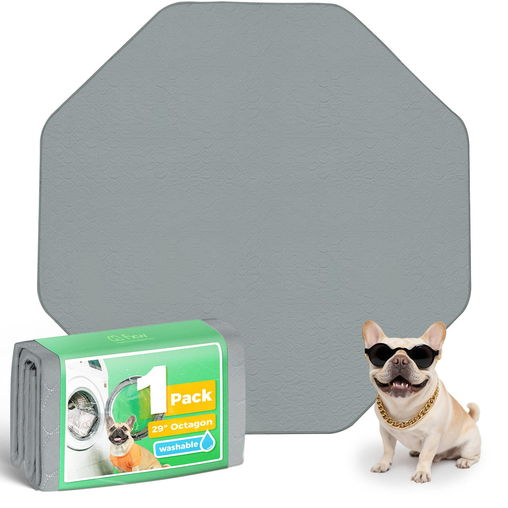 FXW Washable Pee Pads for Dogs, Super Absorbent