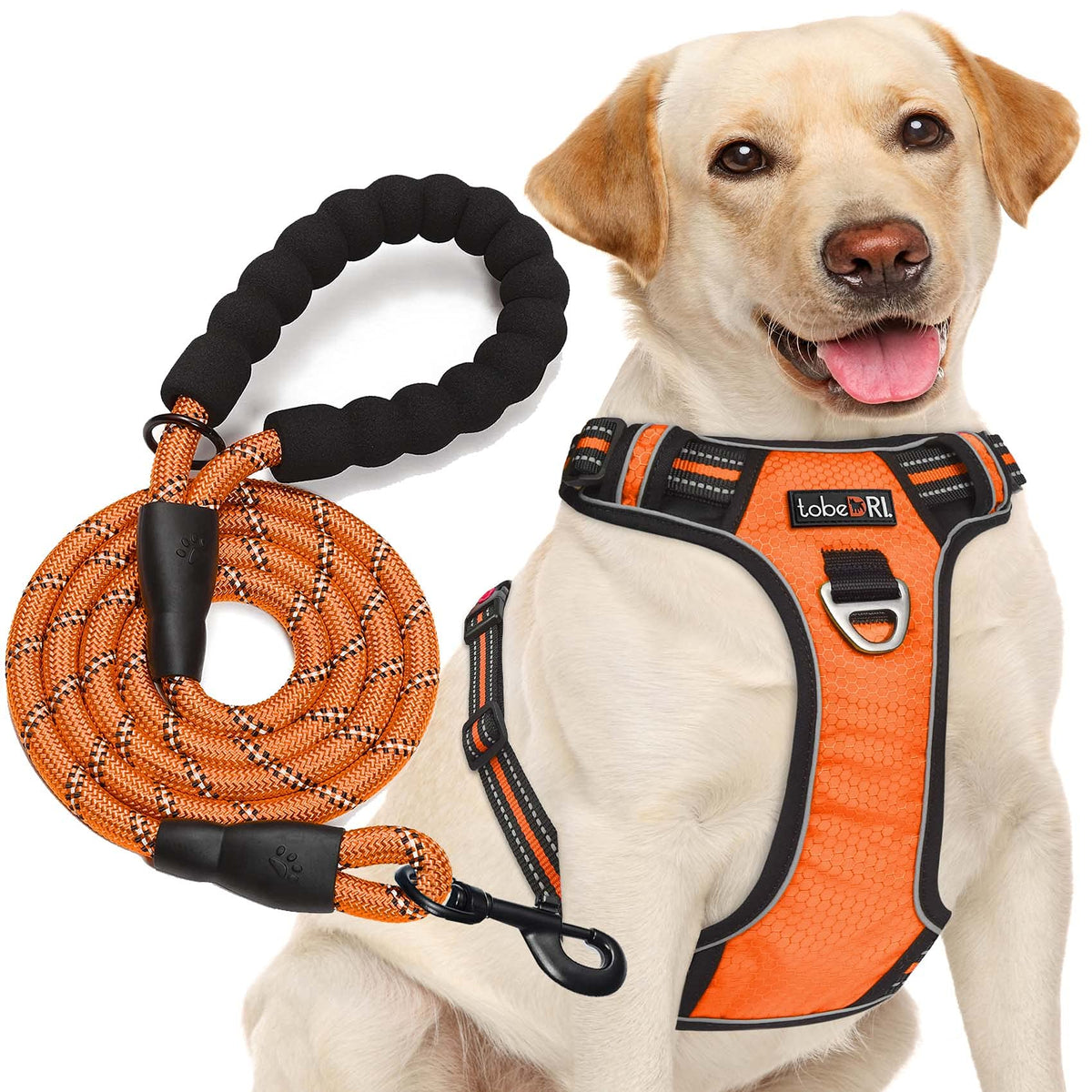 tobeDRI No Pull Dog Harness Adjustable Reflective Oxford Easy Control Medium Large Dog Harness with A Free Heavy Duty 5ft Dog Leash