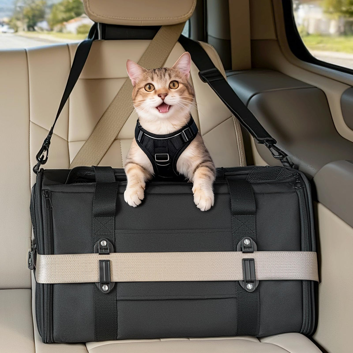 Petsfit 18 X 11 X 11 Airline Approved & Cat Car Carrier, with Patent Safety Buckles & Lockable Zippers Preventing Escapes, Breathable Mesh & Padded Mat — Portable, Stress-Free Travel Carrier