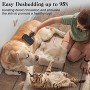 Swihauk Self-Cleaning Slicker Brush for Dogs & Cats