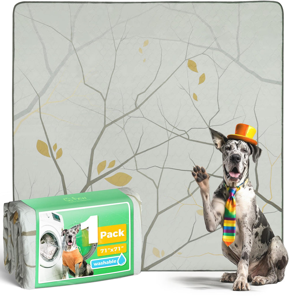 FXW Washable Pee Pads for Dogs, Super Absorbent
