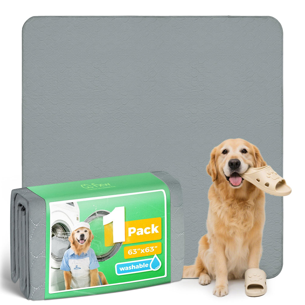 FXW Washable Pee Pads for Dogs, Super Absorbent