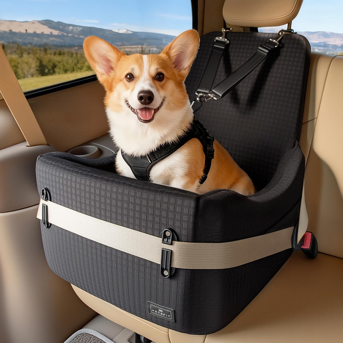 PETSFIT Dog Booster Car Seat for Small/Medium Dogs Up to 35 lbs – Patented Safety System, 5" Memory Foam Pet Car Seat, Fully Detachable and Washable Cover