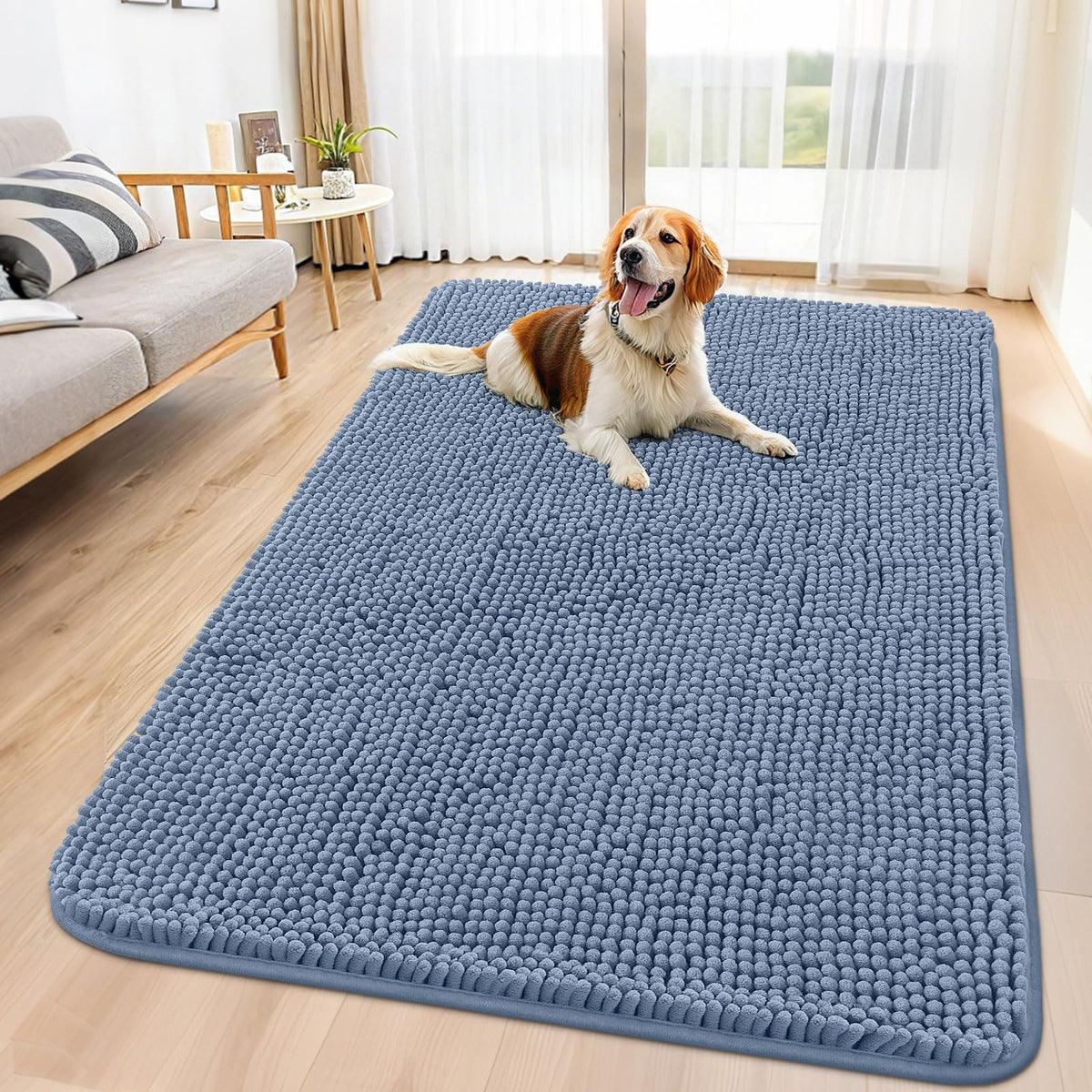 Smiry Dog Door Mat for Muddy Paws, Absorbent Dirt Trapper, Non-Slip Washable Chenille Entryway Rug for Inside Floor